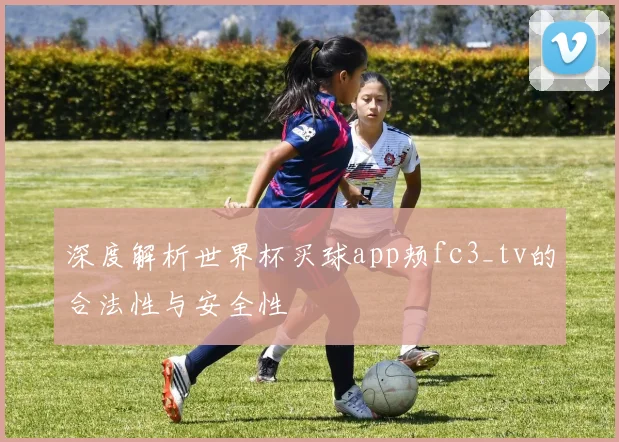 深度解析世界杯买球app颊fc3_tv的合法性与安全性