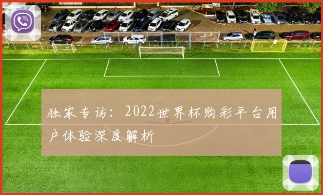 独家专访：2022世界杯购彩平台用户体验深度解析