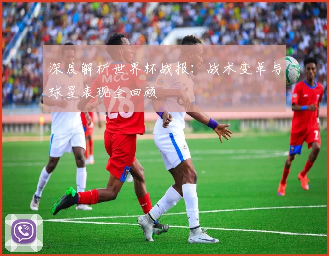 深度解析世界杯战报：战术变革与球星表现全回顾